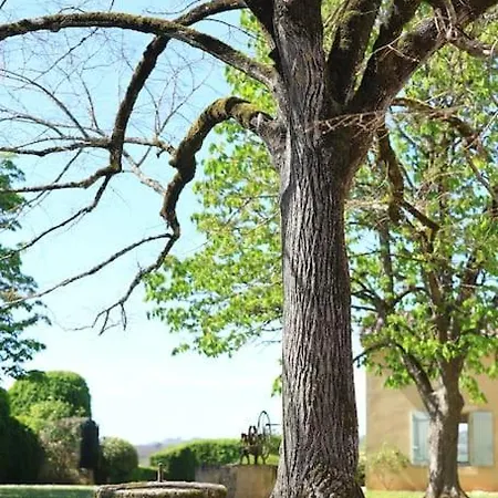 Les Tilleuls Tatil Evi